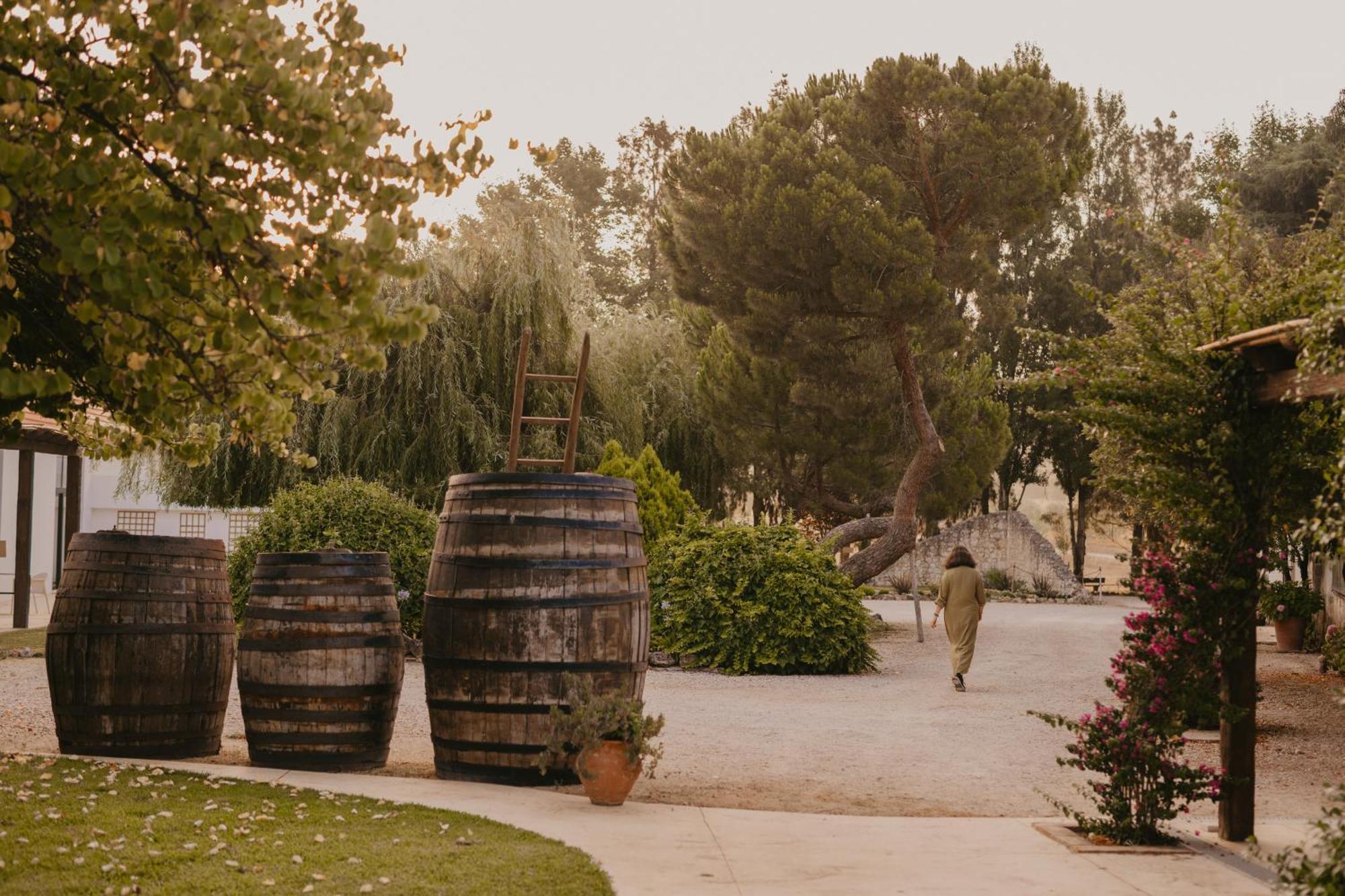 Quinta Carvalhas - The Green Farm Hotel Casevel Bagian luar foto