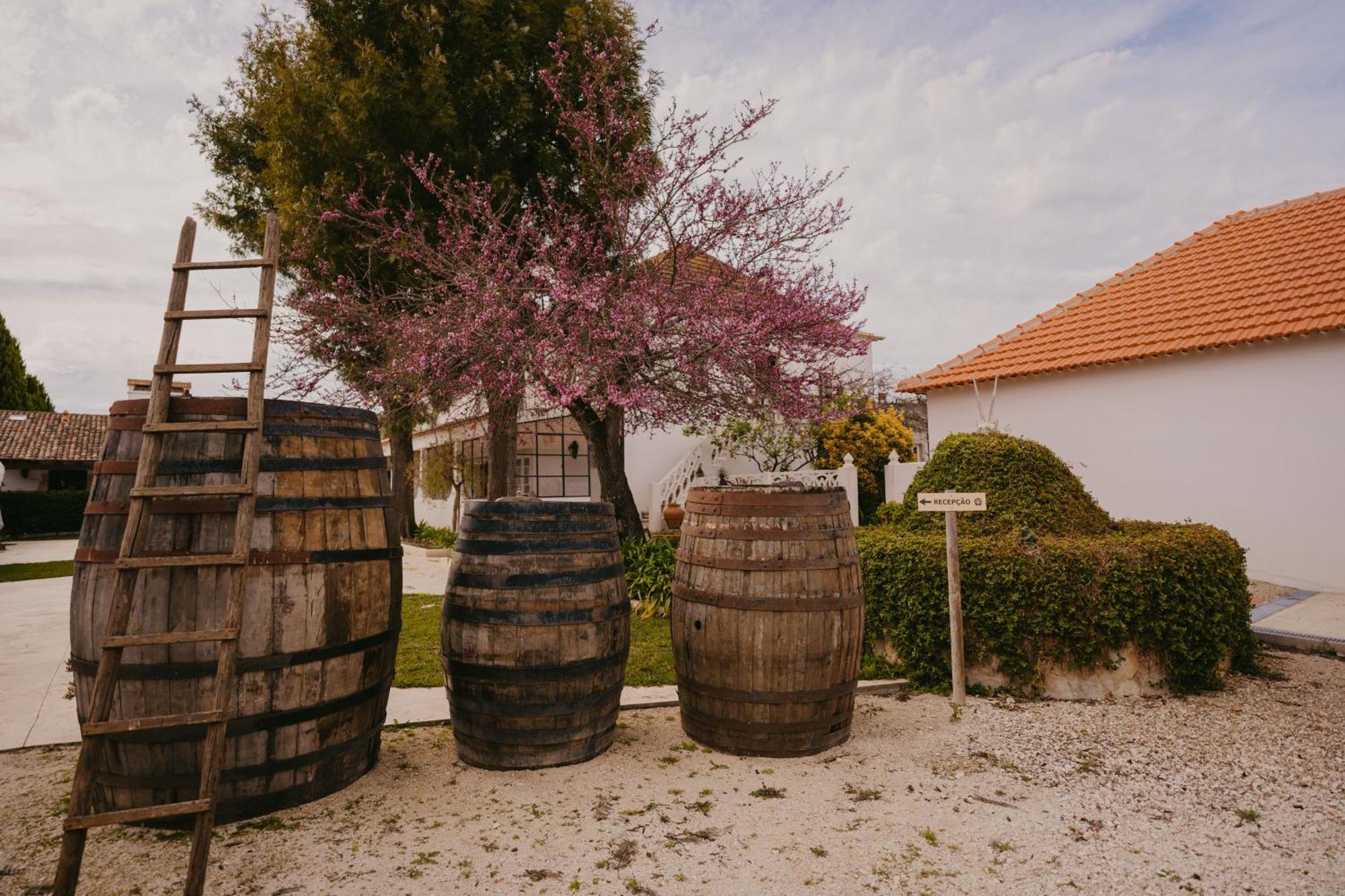 Quinta Carvalhas - The Green Farm Hotel Casevel Bagian luar foto