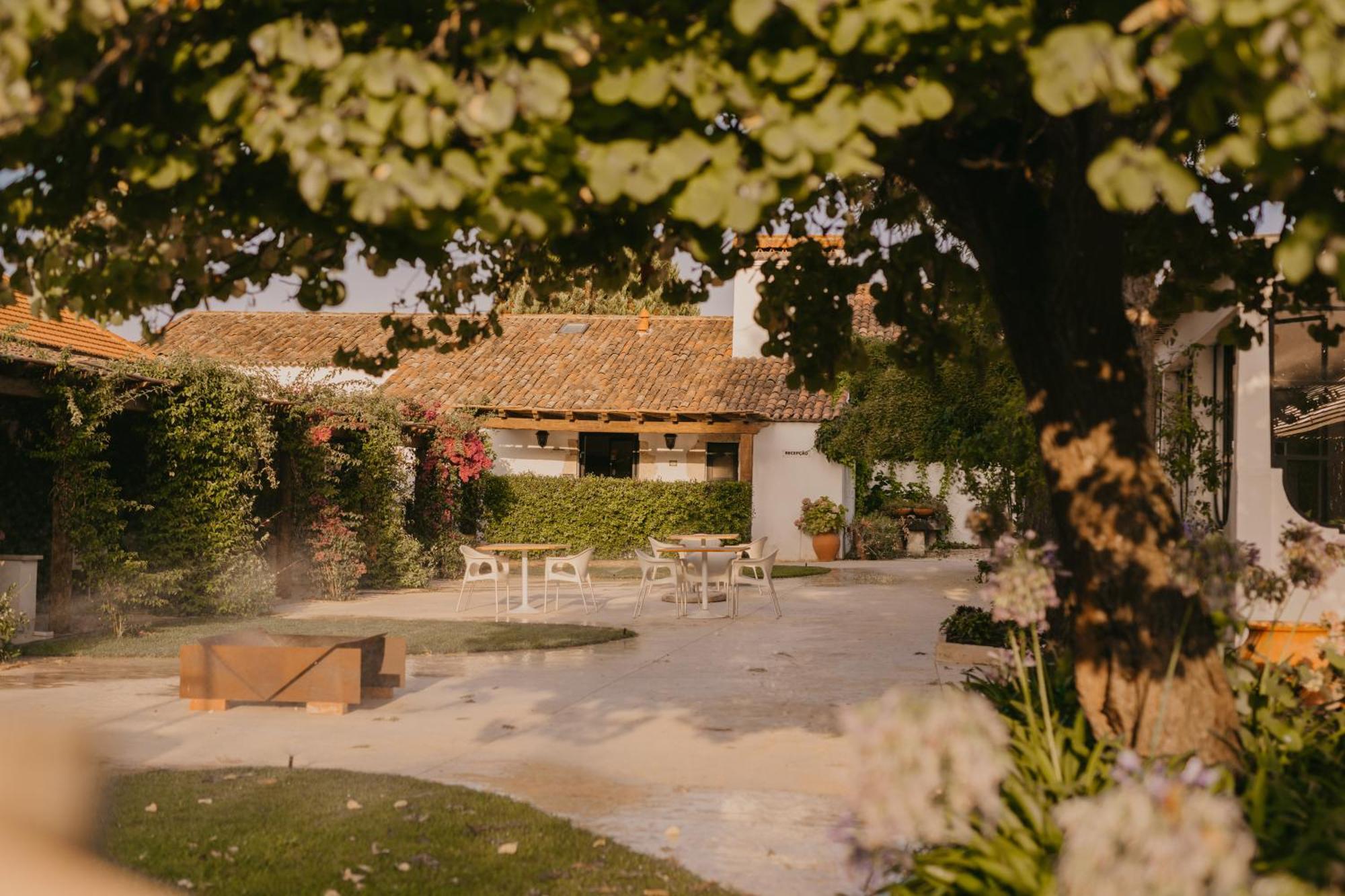 Quinta Carvalhas - The Green Farm Hotel Casevel Bagian luar foto