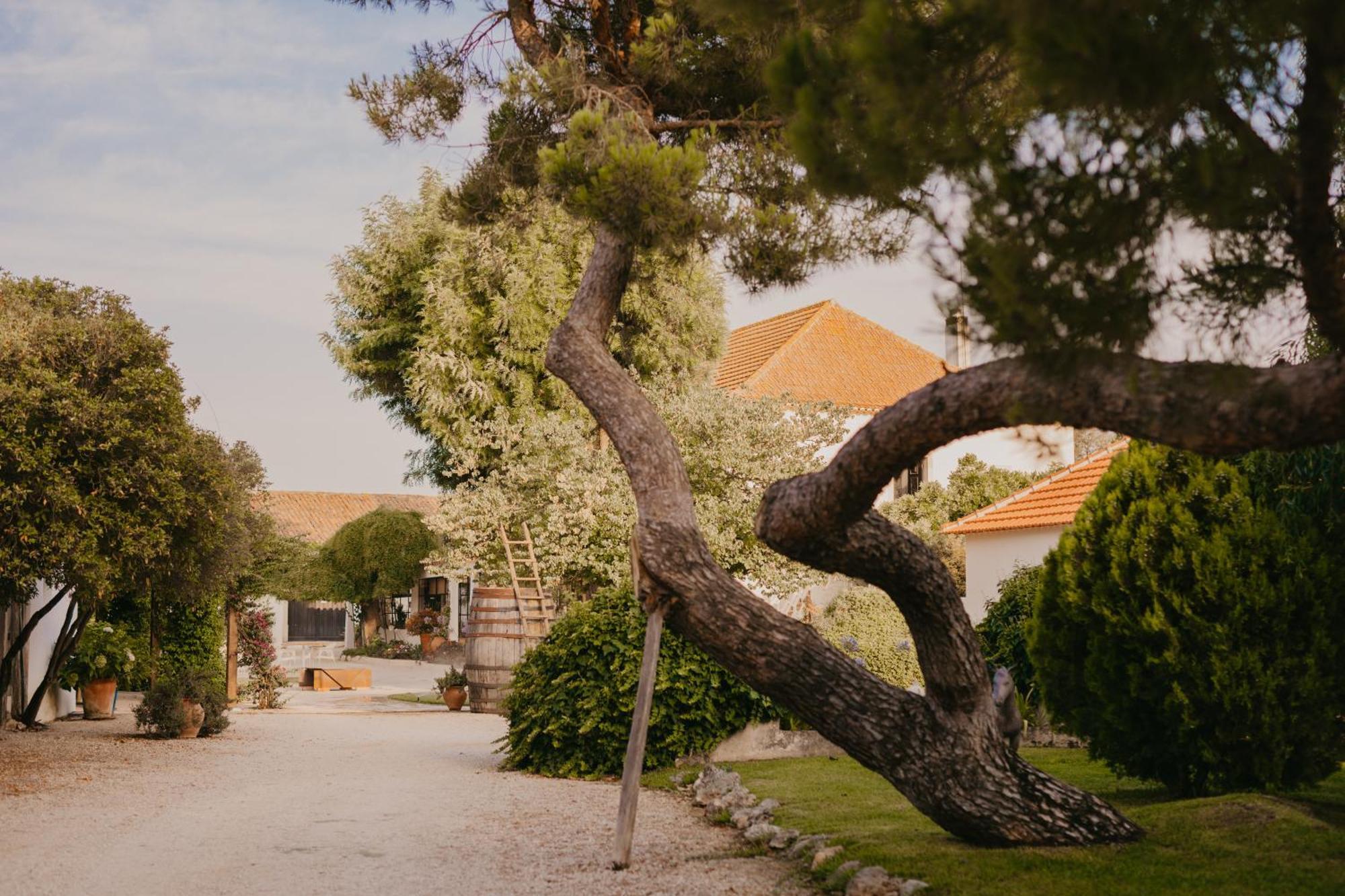 Quinta Carvalhas - The Green Farm Hotel Casevel Bagian luar foto