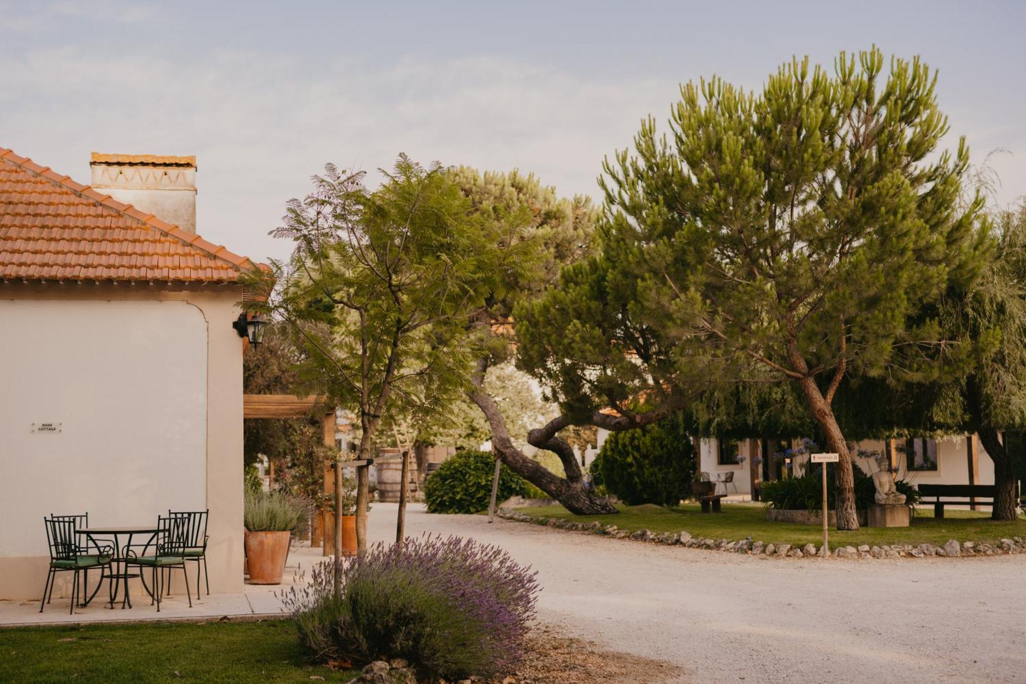 Quinta Carvalhas - The Green Farm Hotel Casevel Bagian luar foto